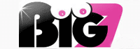 Logo von Big7
